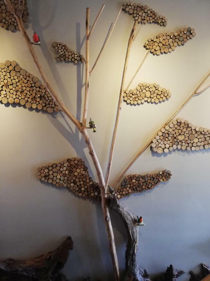 Hotel Amun Villarrica Luaran gambar
